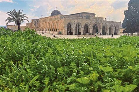 Circuit de 2 jours à la mosquée Al Aqsa, au Dôme du Rocher, à Hébron et à Bethléem (Circuit islamique) (JR-JHT-009)